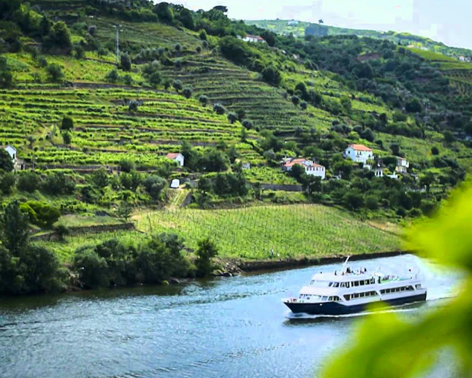 From Porto: Douro Valley Full-Day Trip with Régua Cruise and Lunch