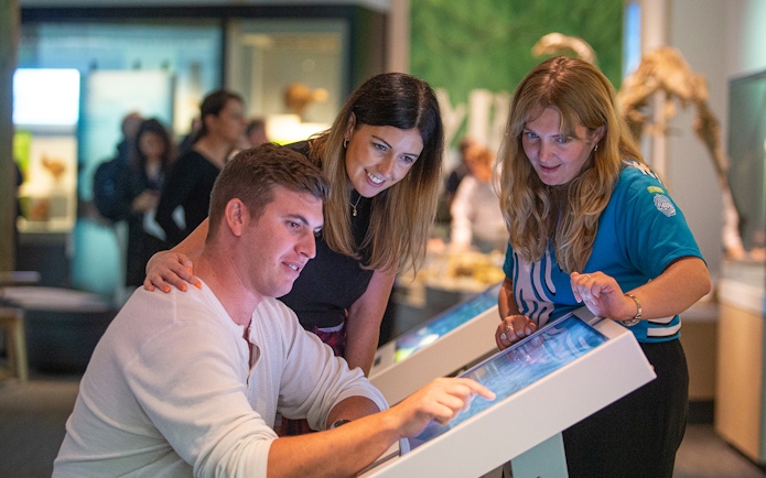 Visitors interacting with digital displays at Museum of New Zealand Te Papa Tongarewa.