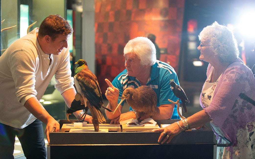Visitors engaging with bird exhibits at Museum of New Zealand Te Papa Tongarewa.