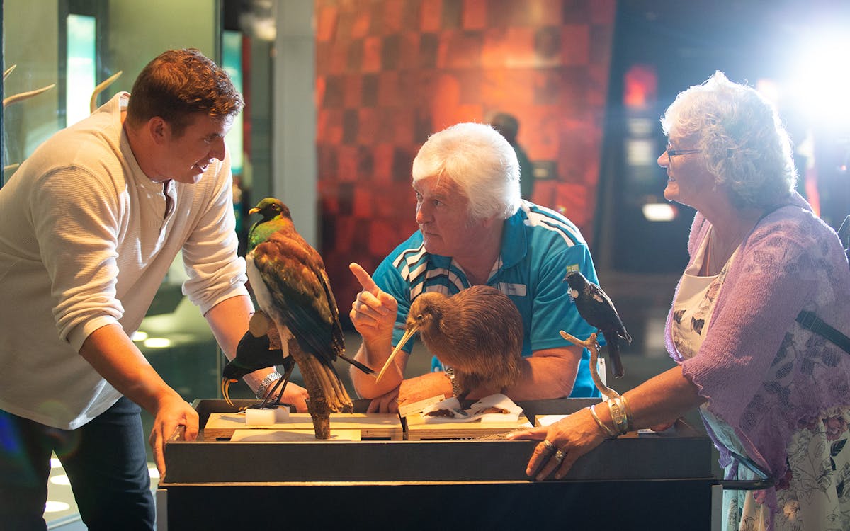 museum of new zealand te papa tongarewa tours-8 museum of new zealand te papa tongarewa tours-8