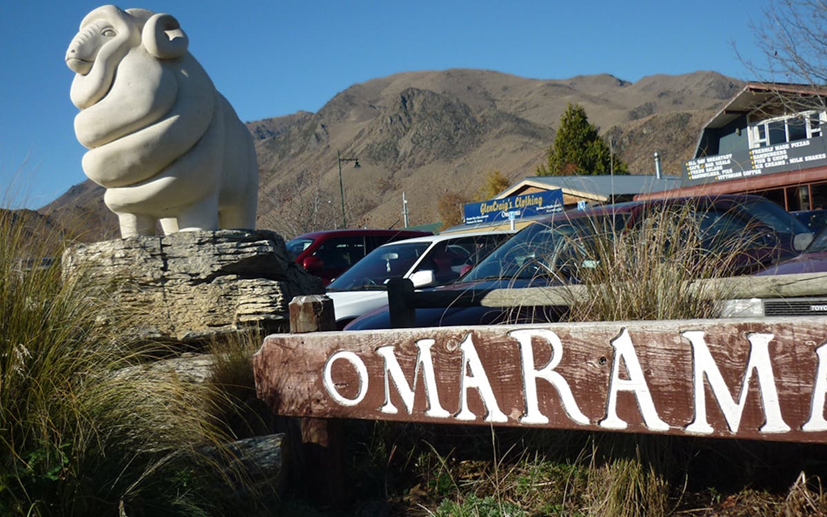 mt cook small-group tour from queenstown-8 mt cook small-group tour from queenstown-8