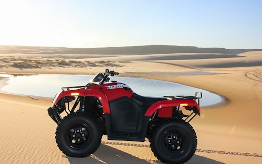 Quad bike on Stockton Beach sand dunes during 1-hour tour.