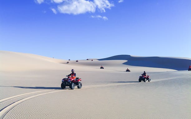 Quad bikes riding across sand dunes on Stockton Beach tour.