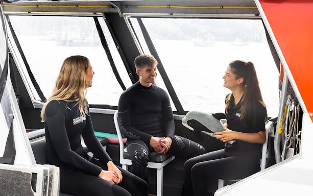 Tour participants in wetsuits on a boat in Akaroa, preparing for a dolphin swim experience.