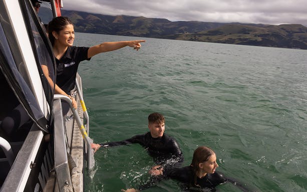 Participants in wetsuits swimming near a boat during a dolphin cruise in Akaroa.