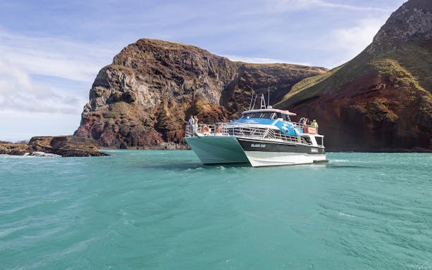 Cruise boat near rocky cliffs on Dolphin & Nature Cruise in Akaroa, New Zealand.