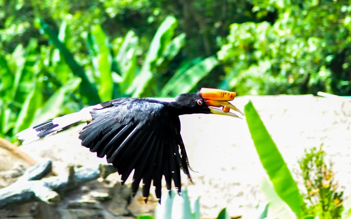admission tickets to zoo melaka-7 admission tickets to zoo melaka-7