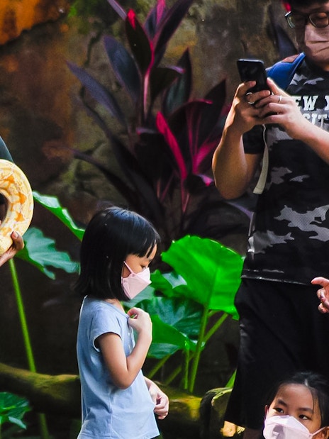 Man holding a large snake at Zoo Melaka, surrounded by visitors.