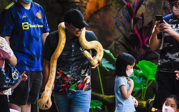 Man holding a large snake at Zoo Melaka, surrounded by visitors.