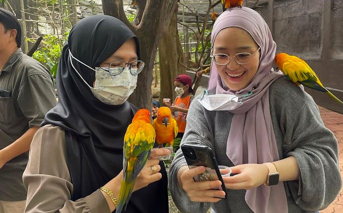 Visitors interacting with colorful parrots at Zoo Melaka, Malaysia.
