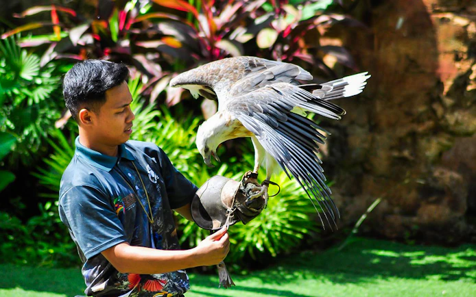 Zookeeper handling a bird of prey at Zoo Melaka.