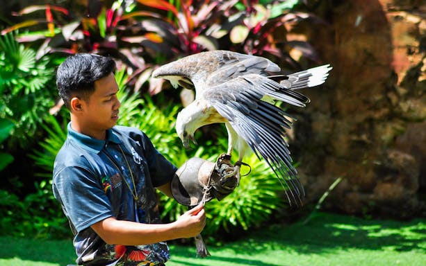 Zookeeper handling a bird of prey at Zoo Melaka.