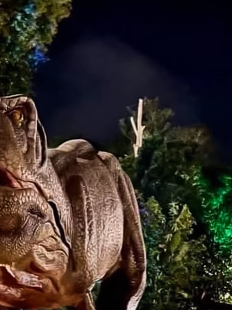 Dinosaur exhibit at Zoo Melaka at night.