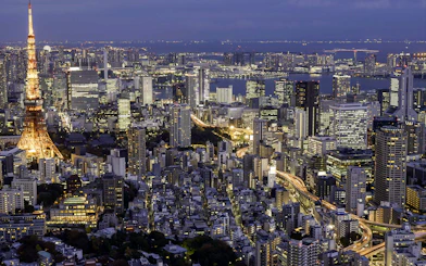 Tokyo skyline at night with Tokyo Tower illuminated, view from above.
