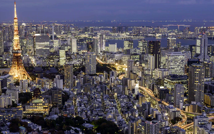 Tokyo skyline at night with Tokyo Tower illuminated, view from above.
