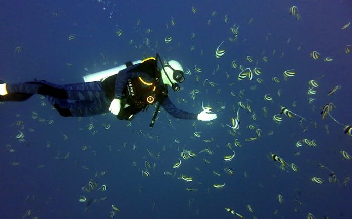 Diver exploring a shallow reef surrounded by tropical fish.