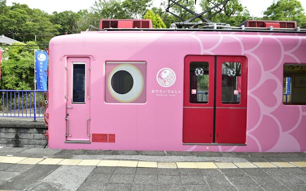 Pink Medetai train at a Nankai Railway station in Japan.