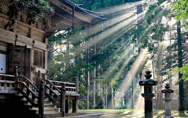 Sunlight filtering through trees at a temple on the Nankai Railway route.