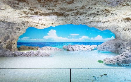 DMM Kariyushi Aquarium Admission Ticket