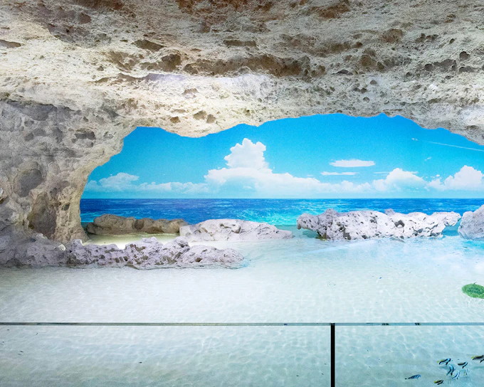 DMM Kariyushi Aquarium Admission Ticket