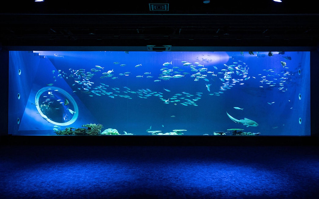 Large aquarium tank with diverse fish at DMM Kariyushi Aquarium, Okinawa.