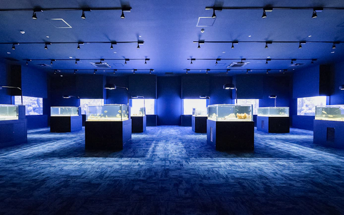 Aquarium tanks with marine life at DMM Kariyushi Aquarium, Okinawa.