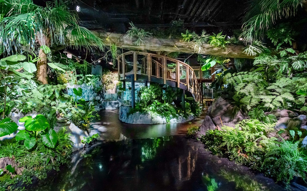 Indoor tropical garden with lush greenery and a wooden walkway at DMM Kariyushi Aquarium.