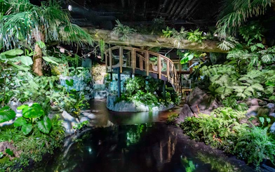 Indoor tropical garden with lush greenery and a wooden walkway at DMM Kariyushi Aquarium.