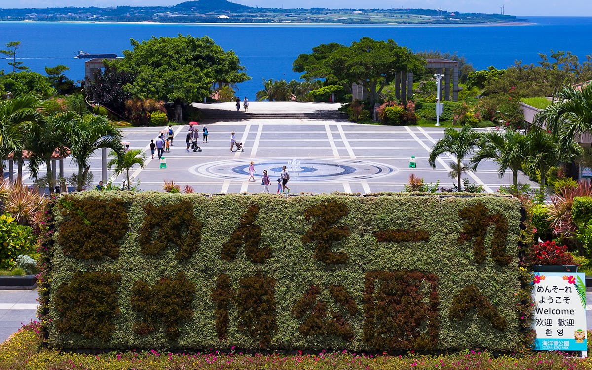 1 day sightseeing bus tour of okinawa with ryukyu village-11 1 day sightseeing bus tour of okinawa with ryukyu village-11