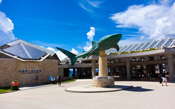 Okinawa Churaumi Aquarium entrance with large shark sculpture.