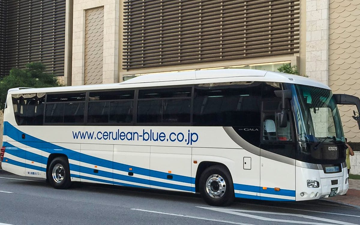 1 day sightseeing bus tour of okinawa with ryukyu village-8 1 day sightseeing bus tour of okinawa with ryukyu village-8