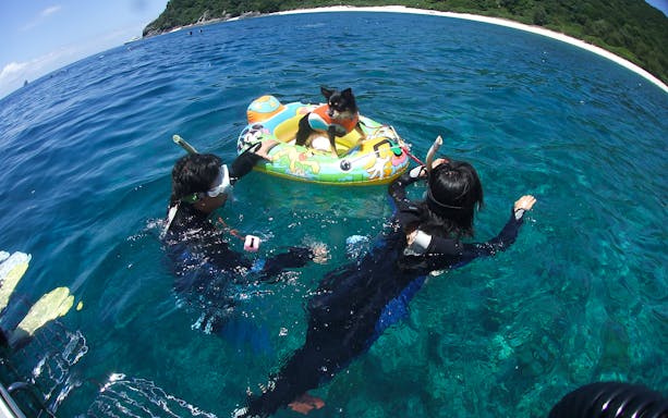 Snorkelers with a dog in a float at Kerama Islands, Japan.