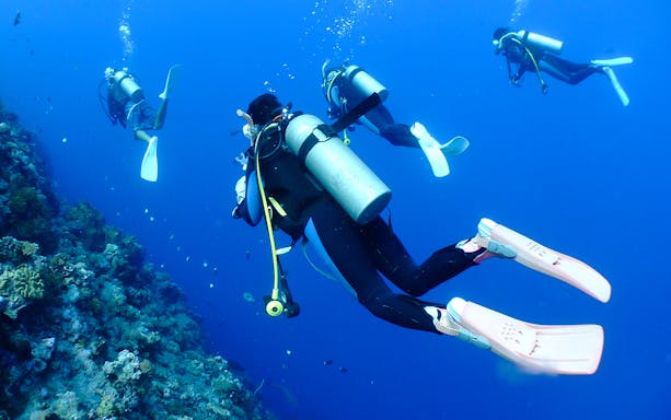 Divers exploring coral reef during 3-Point Snorkeling Tour at Kerama Islands.