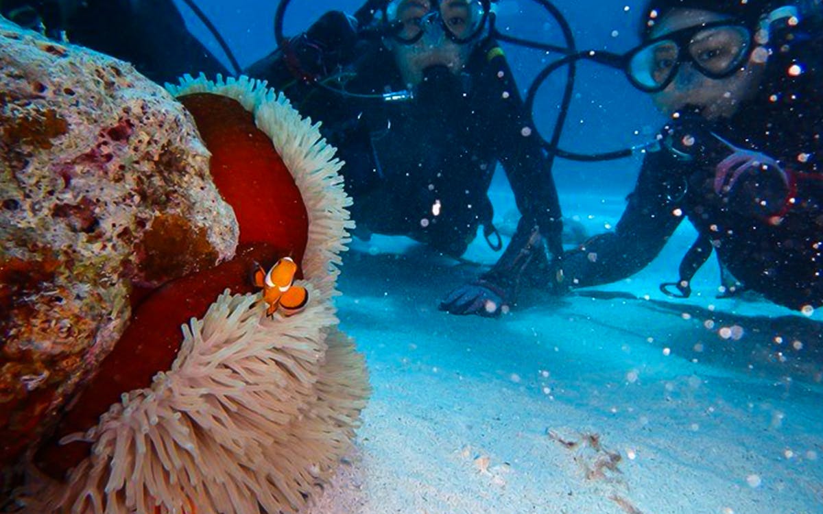 3-point snorkeling or diving tour at kerama islands-6 3-point snorkeling or diving tour at kerama islands-6