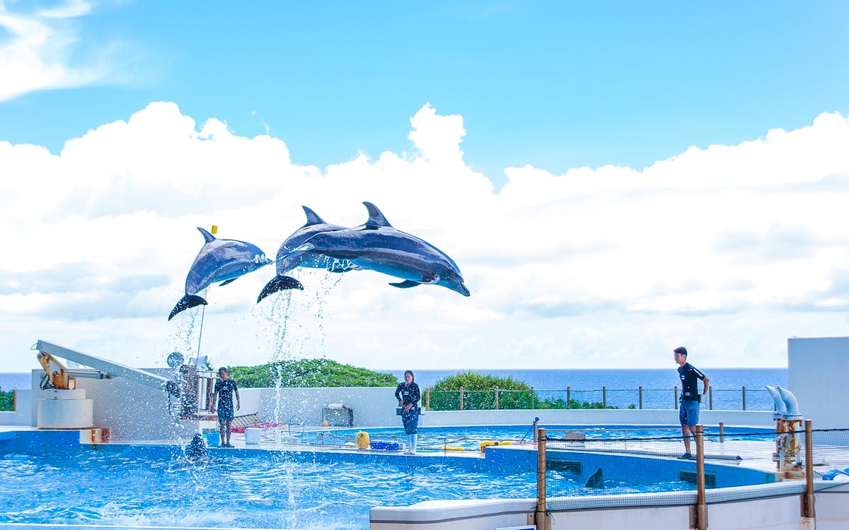 1 day sightseeing bus tour of okinawa with american village-6 1 day sightseeing bus tour of okinawa with american village-6