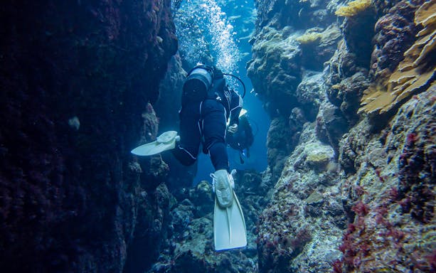 Snorkelers exploring coral reef in Kerama Chibishi Island during guided tour.