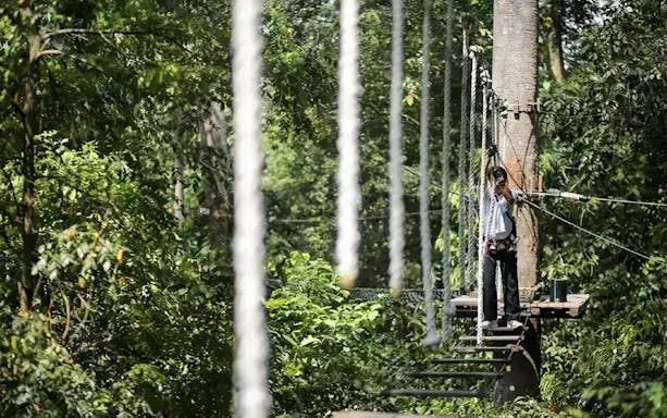 Person crossing a rope bridge at Skytrex Adventure Melaka amidst lush greenery.