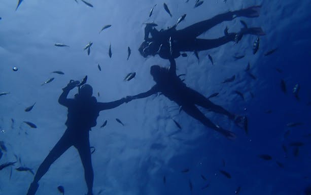 Scuba divers exploring Blue Cave surrounded by fish.