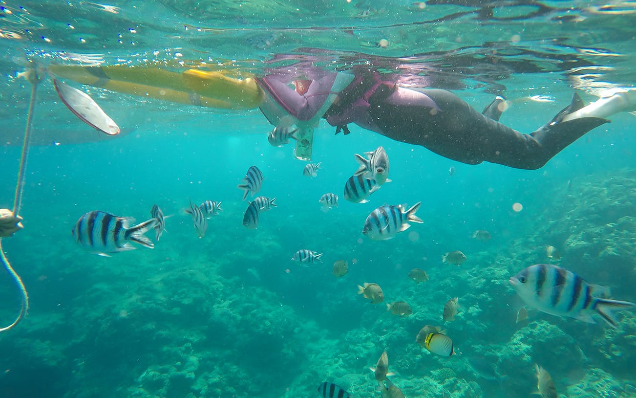 Scuba diver exploring Blue Cave with tropical fish swimming nearby.