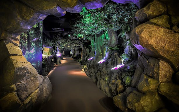 Pathway through lush, illuminated forest exhibit at Top Boutique Aquarium, Penang.