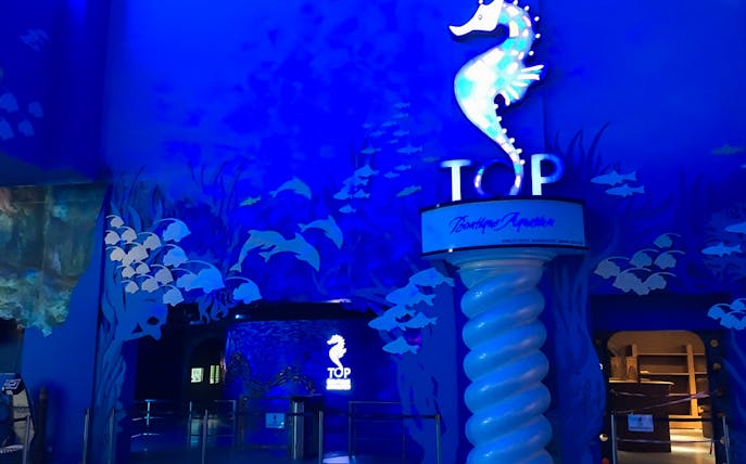 Top Boutique Aquarium entrance with seahorse sign in Penang.