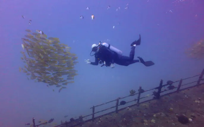 Diver exploring a vibrant reef with a school of fish during a deep and shallow reef diving adventure.