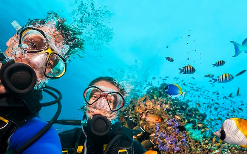 Scuba divers exploring coral reef with tropical fish in Dubai.