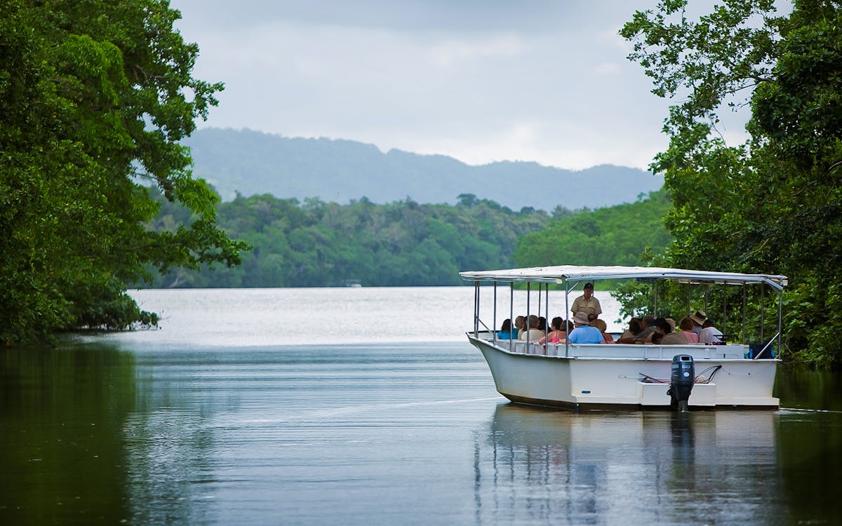 daintree dreaming tour: aboriginal art & culture/traditional aboriginal fishing-2 daintree dreaming tour: aboriginal art & culture/traditional aboriginal fishing-2