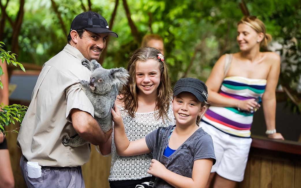 Guide holding a koala with children at Hartley’s Crocodile Adventures.