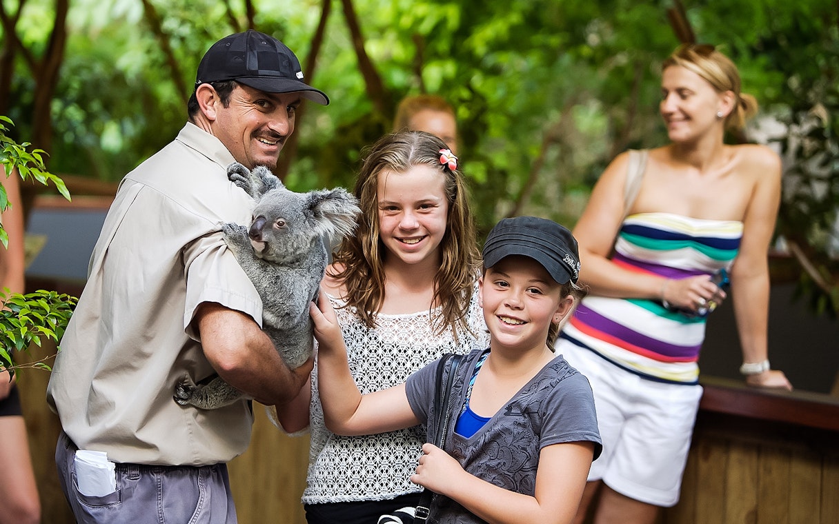 Guide holding a koala with children at Hartley’s Crocodile Adventures.
