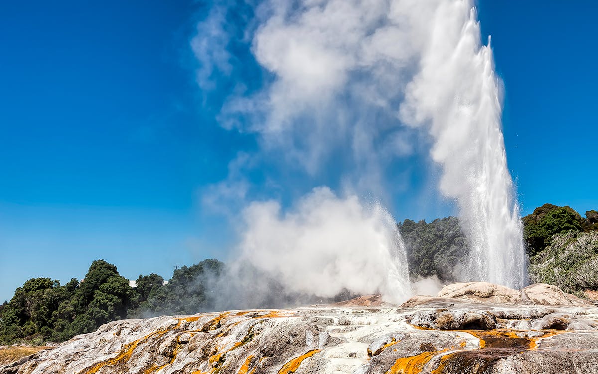 rotorua highlights small group tour from auckland-17 rotorua highlights small group tour from auckland-17