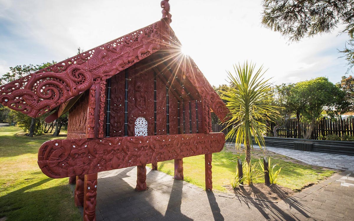 rotorua highlights small group tour from auckland-10 rotorua highlights small group tour from auckland-10