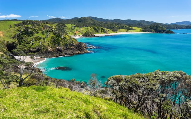 Bay of Islands coastline with turquoise waters and lush greenery, viewed from a hilltop.