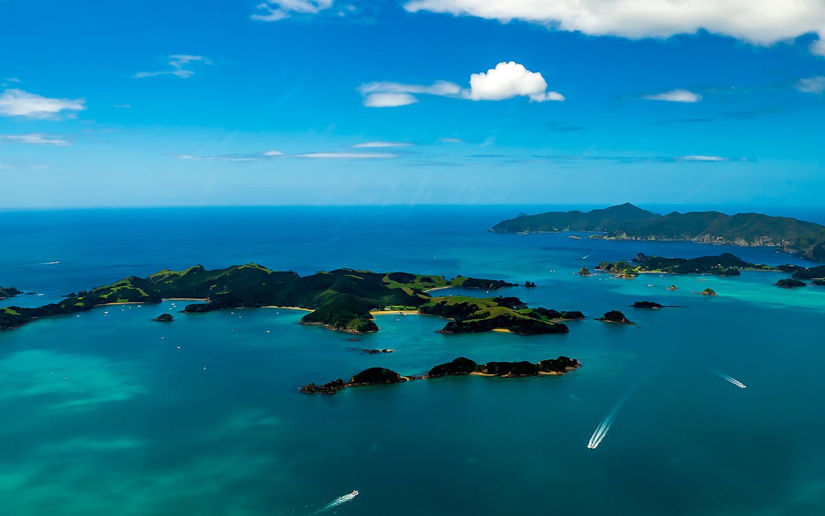 bay of islands small group tour & cruise from auckland-6 bay of islands small group tour & cruise from auckland-6